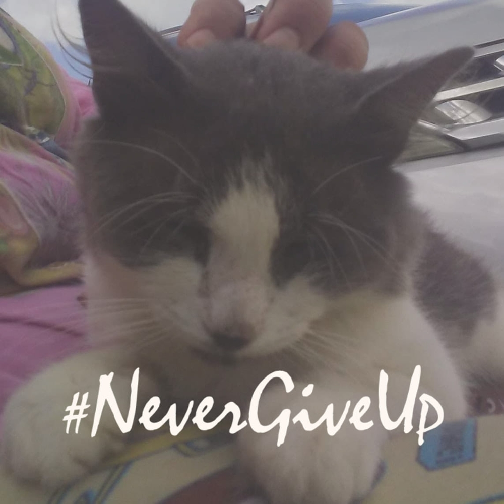 Meet your Posher, Vincent